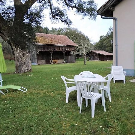 Le Petit Frouas Sud Apartment Vielle-Saint-Girons Ngoại thất bức ảnh